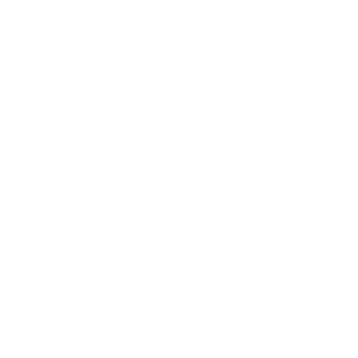 Strapi CSS